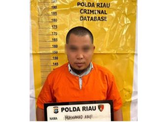 Manipulasi Video Hasil Sidang MK di TikTok, Pria di Riau Ditangkap