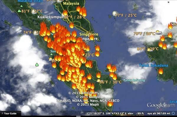 Diklaim Menurun, Sejak Januari-Februari Luas Lahan Terbakar di Riau Mencapai 19,10 Hektare