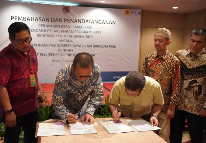Sinergi PLN dan BBKSDA Riau dalam Pembangunan Jaringan Listrik di Hutan Konservasi