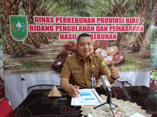 Harga Sawit Riau Kembali Pecah Rekor, Tembus Rp3.392 Perkilogram