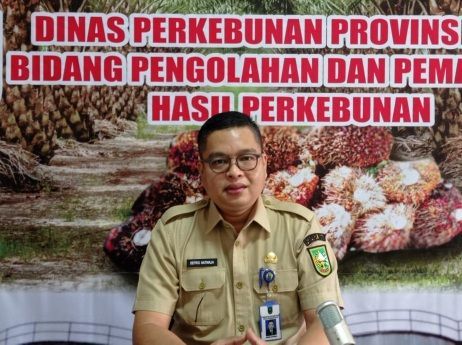 Cenderung Stabil, Berikut Harga Komoditi Perkebunan Riau Pekan Ini