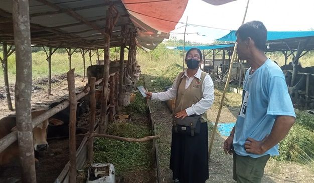 Pengurus Masjid di Riau Disarankan Beli Hewan Kurban Miliki SKKH