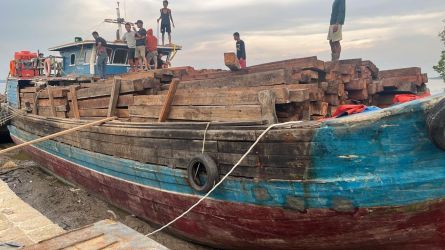 Angkut 70 Ton Kayu Ilegal, Polda Riau Tetapkan Nakhoda dan KKM Kapal Jadi Tersangka