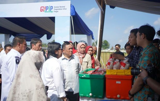 Pemprov Riau Kembangkan Kawasan Pertanian Cabai Di Daerah Cakaplah Com Berpikir Berbuat Bercakap