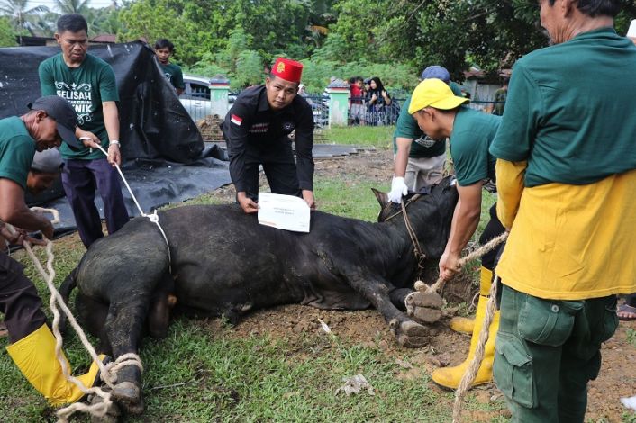 PHR Regional Sumatera Salurkan 514 Ekor Hewan Kurban untuk Masyarakat di Sekitar Wilayah Operasi