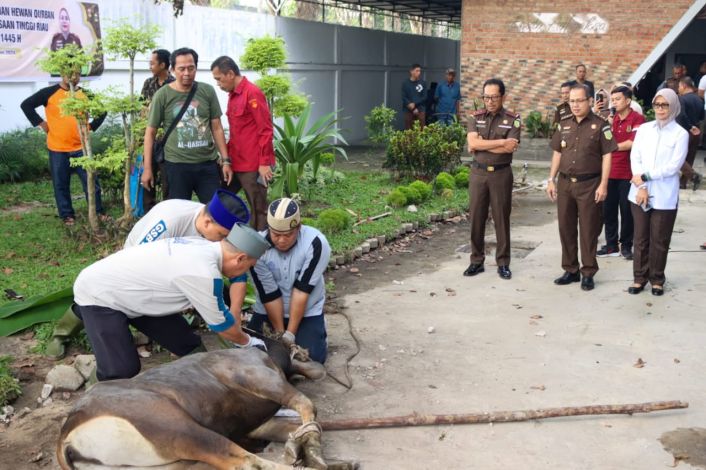 Sembelih 13 Hewan Kurban, Ini Pesan Kajati Riau