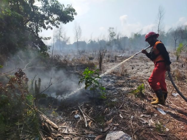 Sudah Dua Hari, Tiga Hektar Lahan KITB Siak Masih Terbakar