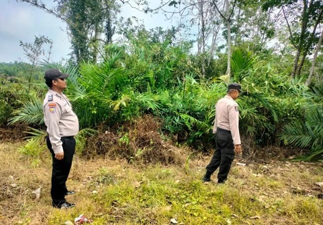 Cegah Kebakaran, Polsek Bunut Rutin Patroli Daerah Rawan Karhutla